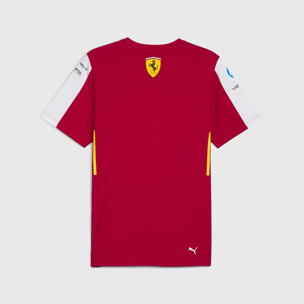 SF RP LMH TEE